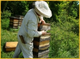 Traditionelle Bienenkästen